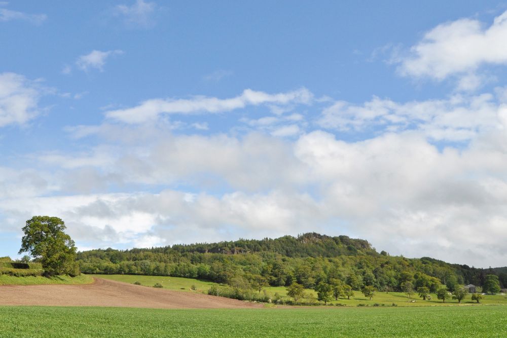 Buying Gillies Hill a Community crowdfunding project in Cambusbarron